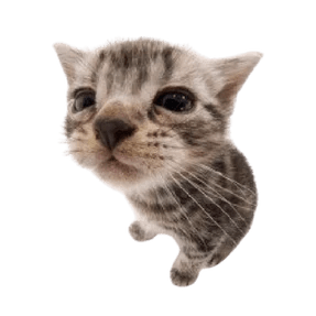 Sudongyuer Tsuki Github - Best Colorful Arts in Full HD