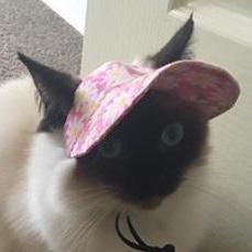 Github Ben Rnd 2ezconfig - Premium Light Picture Gallery - High Resolution