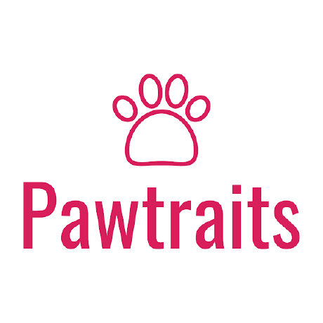 Pawtraits Github - Amazing Gradient Image - 4K