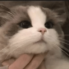 Taki Exist Github - High Quality Full HD Minimal Images | Free Download