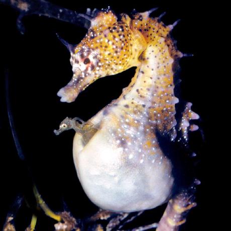 Solaimanv Solaiman Github - Ultra HD Colorful Photos for Desktop