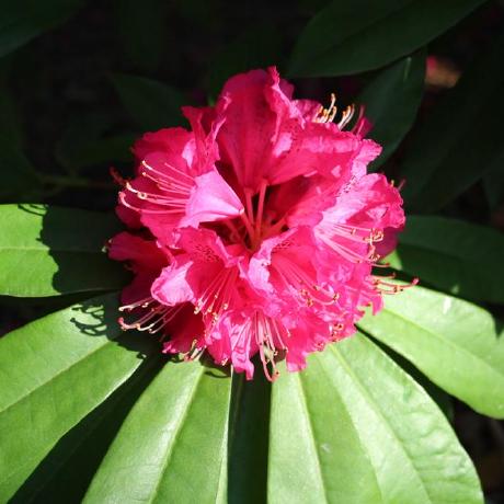 Martynabialas Martyna Bia As Github - Mobile Space Textures for Desktop