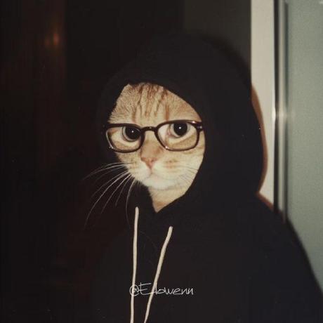 Jeeerryyy Jeeerryyy Github