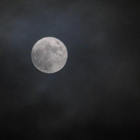 Github Adamrochdii N7 - Desktop Colorful Photos for Desktop