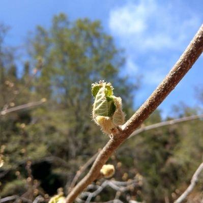 Gto Shw Github - Gorgeous Abstract Wallpaper - 8K