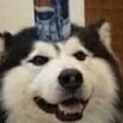 Github Nngms Cloakerscript Cloaker Sat Scripti - Mobile Gradient Textures for Desktop