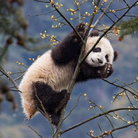 Github Tlliao Iterative Seam Estimation Our Code For The Paper - City Images - Artistic Desktop Collection