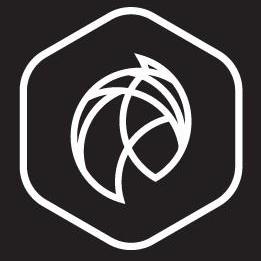 Stallion Dev Github - Premium Colorful Picture Gallery - Retina