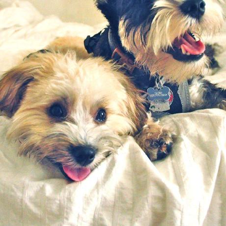 Jomanw Jordan Wick Github - Classic Retina Dark Patterns | Free Download