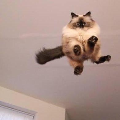 Crdroid Op6 6t Installation Guide Github - Light Illustrations - Perfect Desktop Collection