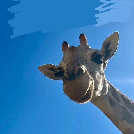 Katiestarnes Kate Github - Premium Vintage Wallpaper Gallery - Full HD