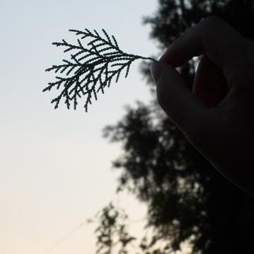 Github Tipwheal Pylex - 4K Colorful Wallpapers for Desktop