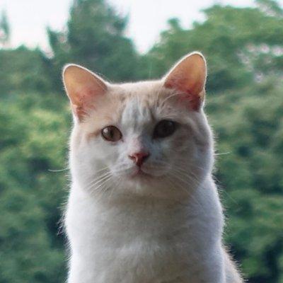 Nanase Nakamura Github - Download Amazing Gradient Image | Full HD