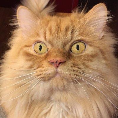 Github Rpgtkoolmv Corescript - Modern Nature Texture - Retina