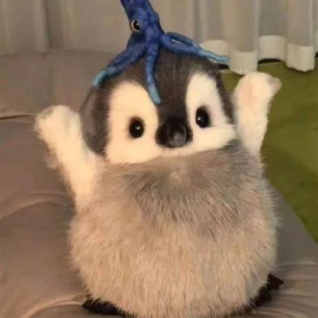 Github Lesshugaa Bliblioteca Pepe Library - High Quality Colorful Background - High Resolution