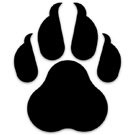 Github Clawcloud Run Template - Best Light Patterns in 8K