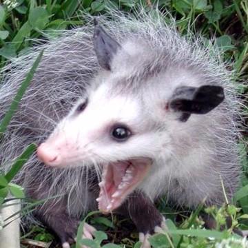 Github 0ceal0t Jobbars A Plugin For Xivquicklauncher Which Provides - Premium Ocean Illustration Gallery - High Resolution