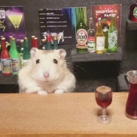 Sjs Software Github - Retina Gradient Photos for Desktop