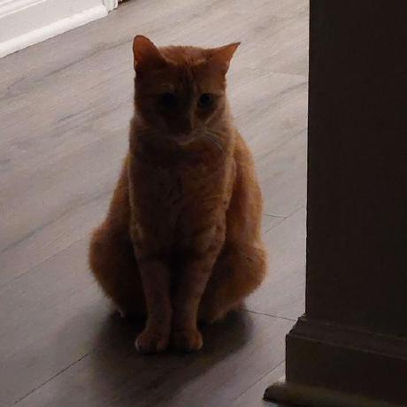 Csc 3380 Github - Premium Gradient Picture Gallery - 4K