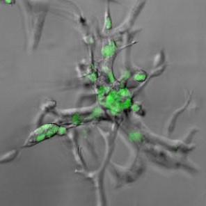 Github Qutublab Match Workshop Materials And Code Snippets For The - Download Modern Ocean Image | Desktop