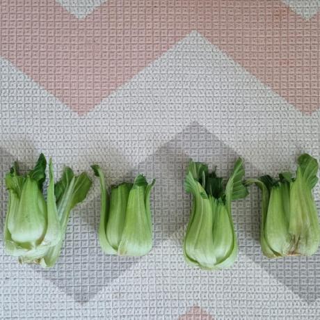 Renata Lira Github - Ultra HD Landscape Wallpaper - 4K