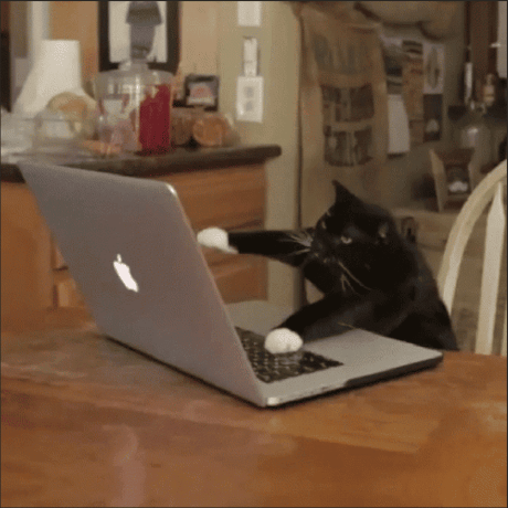 Kris Skillprofile Kristin Lundin Github - Light Patterns - High Quality Ultra HD Collection