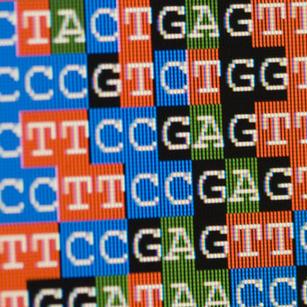 Github Chpgenetics Composite - Best Light Arts in Retina