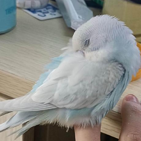 Github Wwb Github - Dark Illustration Collection - Retina Quality