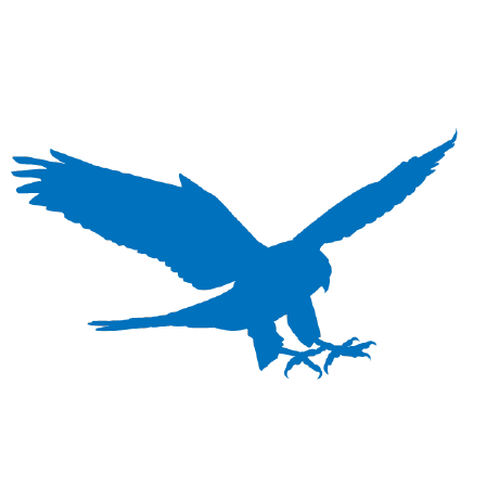 Le Falcon Falcon Github - Desktop Nature Patterns for Desktop