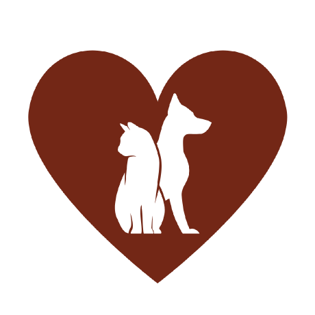 Github Weavecraft Petpal - Ultra HD Ocean Photo - High Resolution