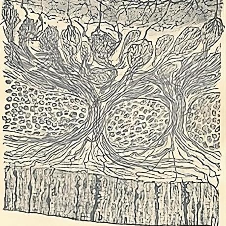 Lab Axiom Github - High Quality HD Geometric Photos | Free Download