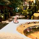 Kokekabe Madoha Madoha Github