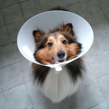 GitHub - Adafruit/Adafruit_Sensor: Common Sensor Library