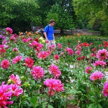 Drjonathanfenwick Jonathan Fenwick Github - Landscape Design Collection - 8K Quality