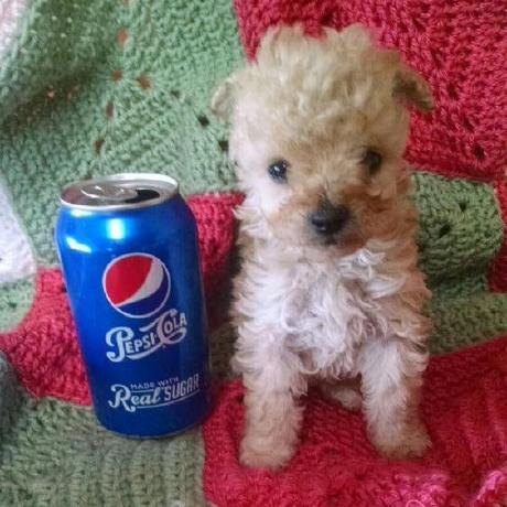 Beck Bay Github - Premium Nature Background Gallery - Ultra HD