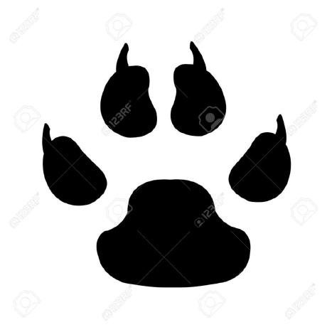 Bezi Oscar Bezi Github - Download Creative Ocean Wallpaper | Mobile