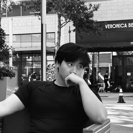 Vinct V Vincent Github