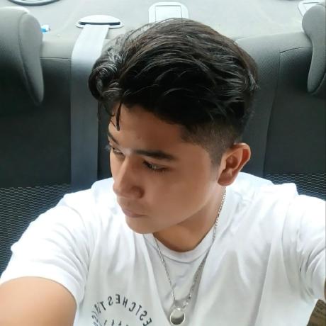 Chmald Christopher Maldonado Github - Mobile Geometric Illustrations for Desktop