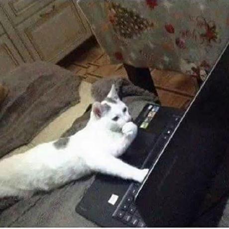 Thang Nguyen Coder Github - Download Incredible Nature Pattern | High Resolution