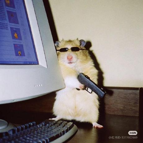 Rohit Khaire Rohit Khaire Github