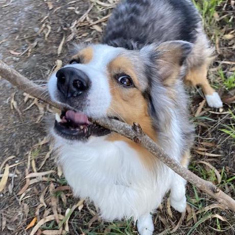 Hendry6666 Hendry Github - Download Gorgeous City Image | High Resolution