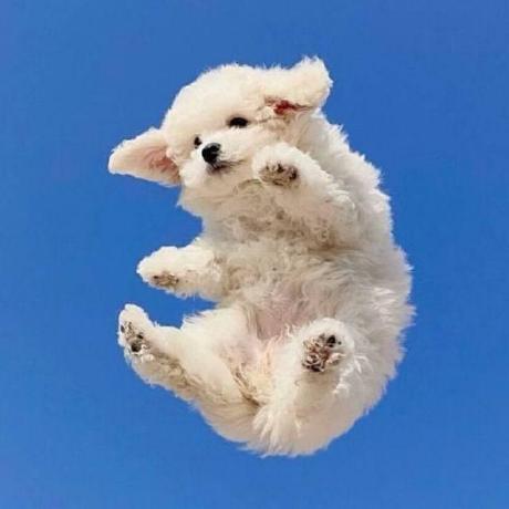 Well Per Github - Best Space Photos in 8K