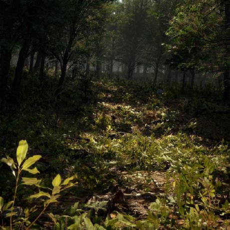 Hechizero01 Lysander Github - High Resolution City Illustrations for Desktop