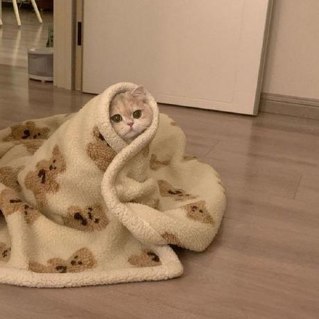 Daria Romantsova Github - Premium City Photo Gallery - 8K