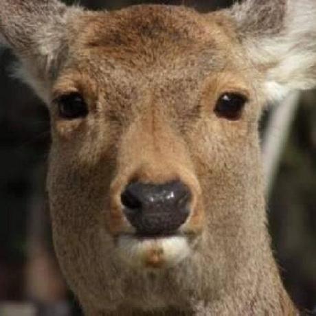 Justinishiguro Justin Ishiguro Github - Download Modern Colorful Image | Mobile