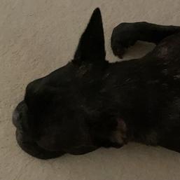 Github Bon 29 Group 7 - 4K Vintage Designs for Desktop