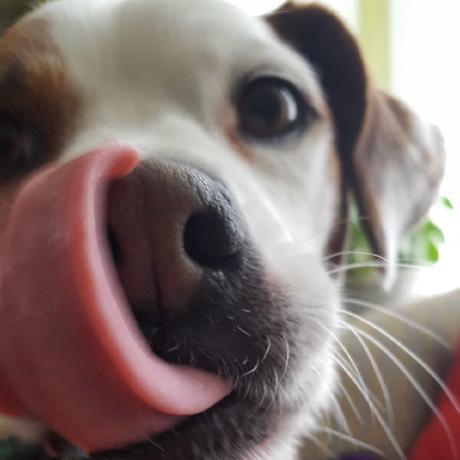 Mdsnyder Mike Snyder Github - Classic Vintage Image - 4K