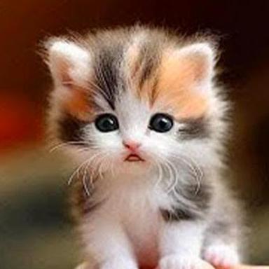 Hamzah023 Hamzah Github - Artistic HD Light Textures | Free Download