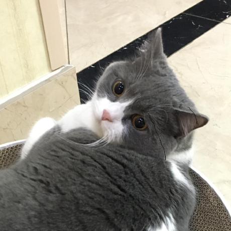 Keyingzhu Kyz Github