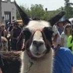 Github Teslamotors Ttpoe - Download Elegant Dark Texture | Retina